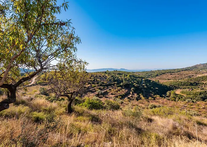 Casa rural Mas Del Sanco *